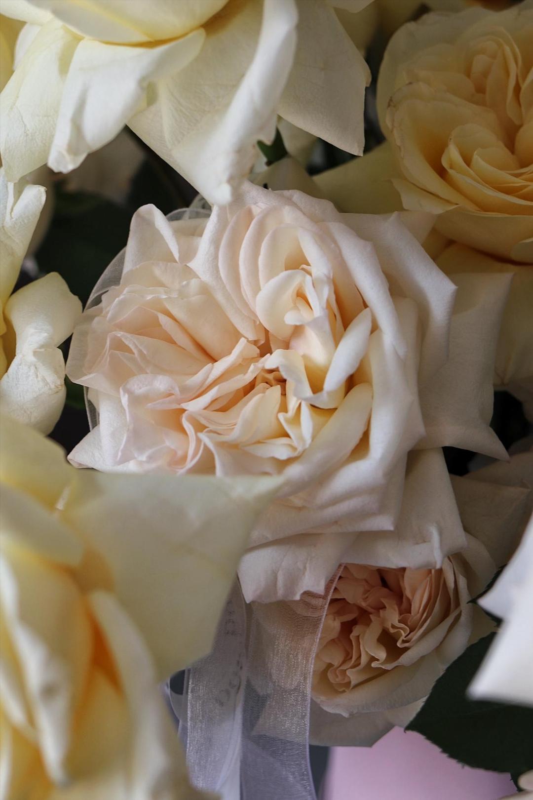 Lush Box [Лаш Бокс]