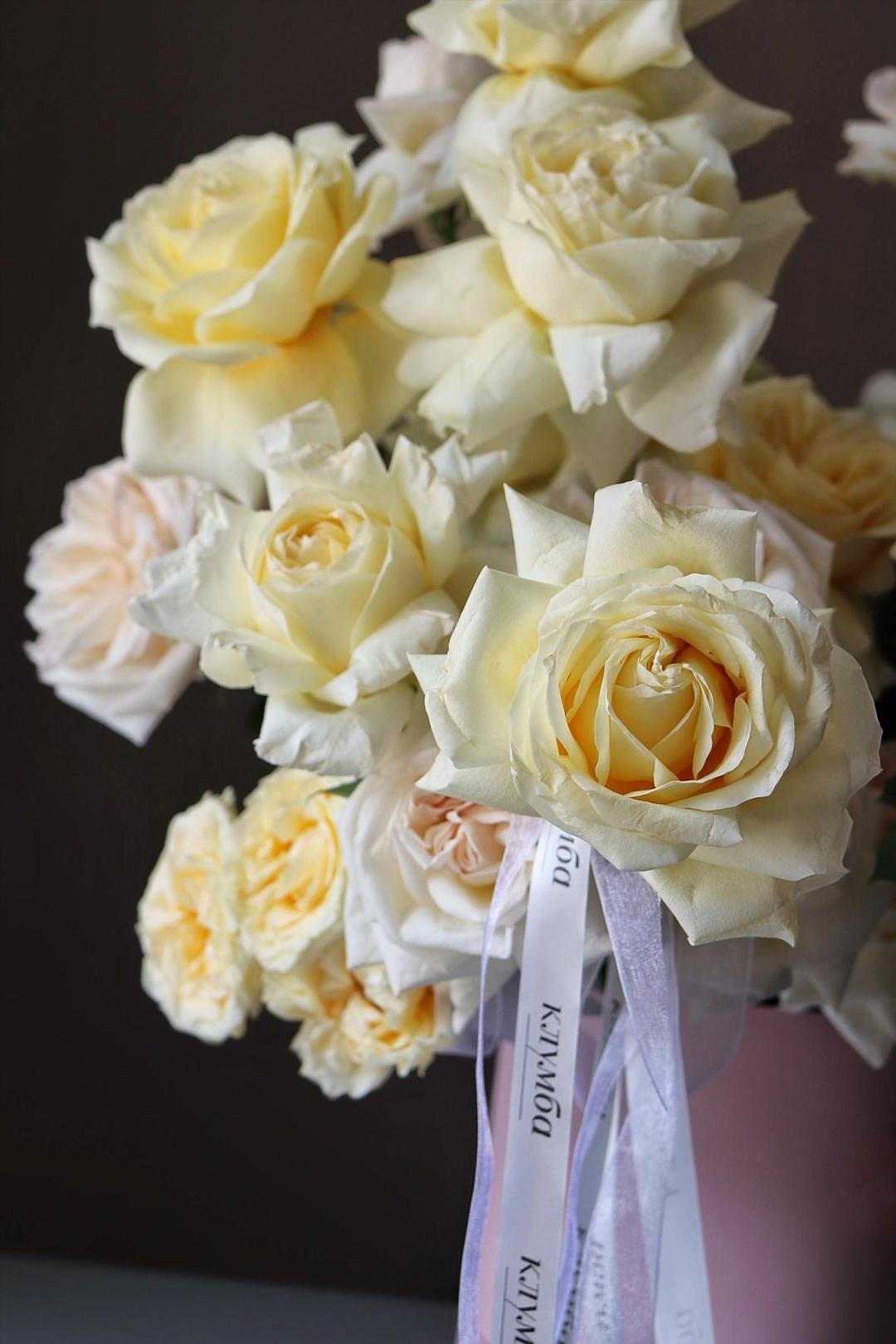 Lush Box [Лаш Бокс]