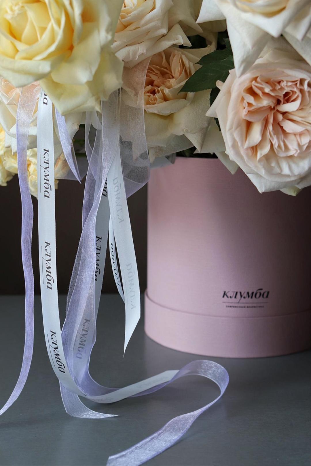 Lush Box [Лаш Бокс]