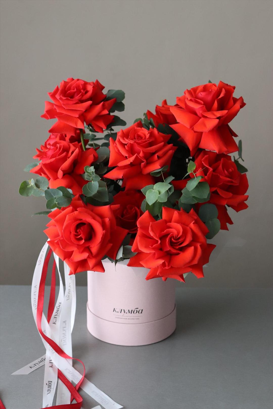 Nina Box [Нина Бокс]