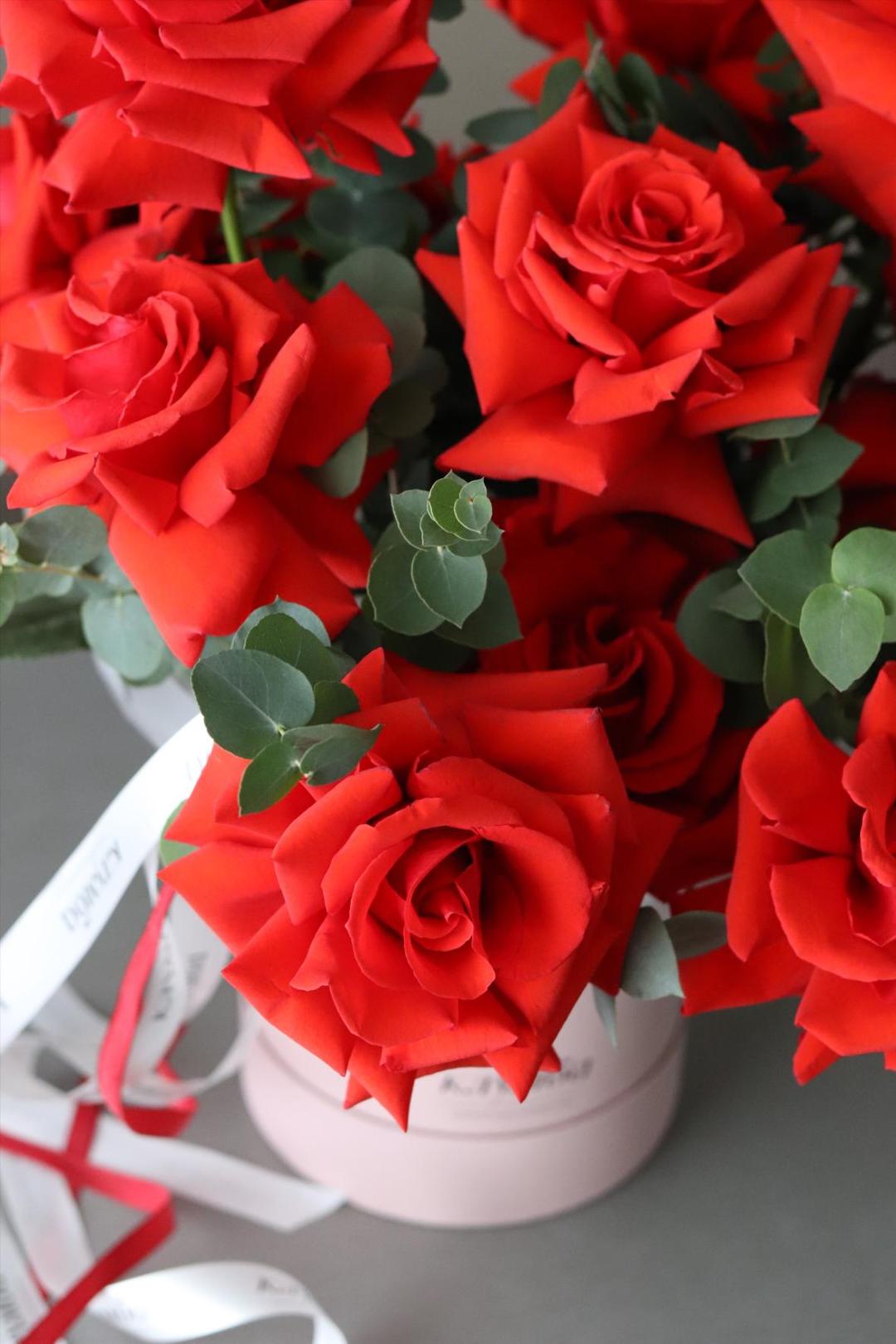 Nina Box [Нина Бокс]