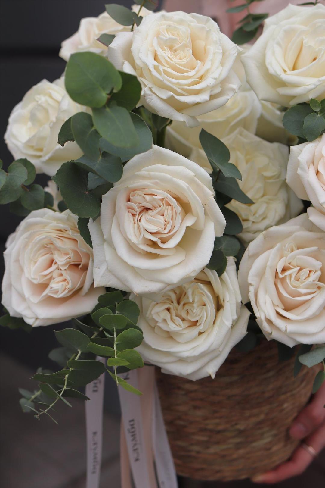 Muse Box [Мьюз Бокс]