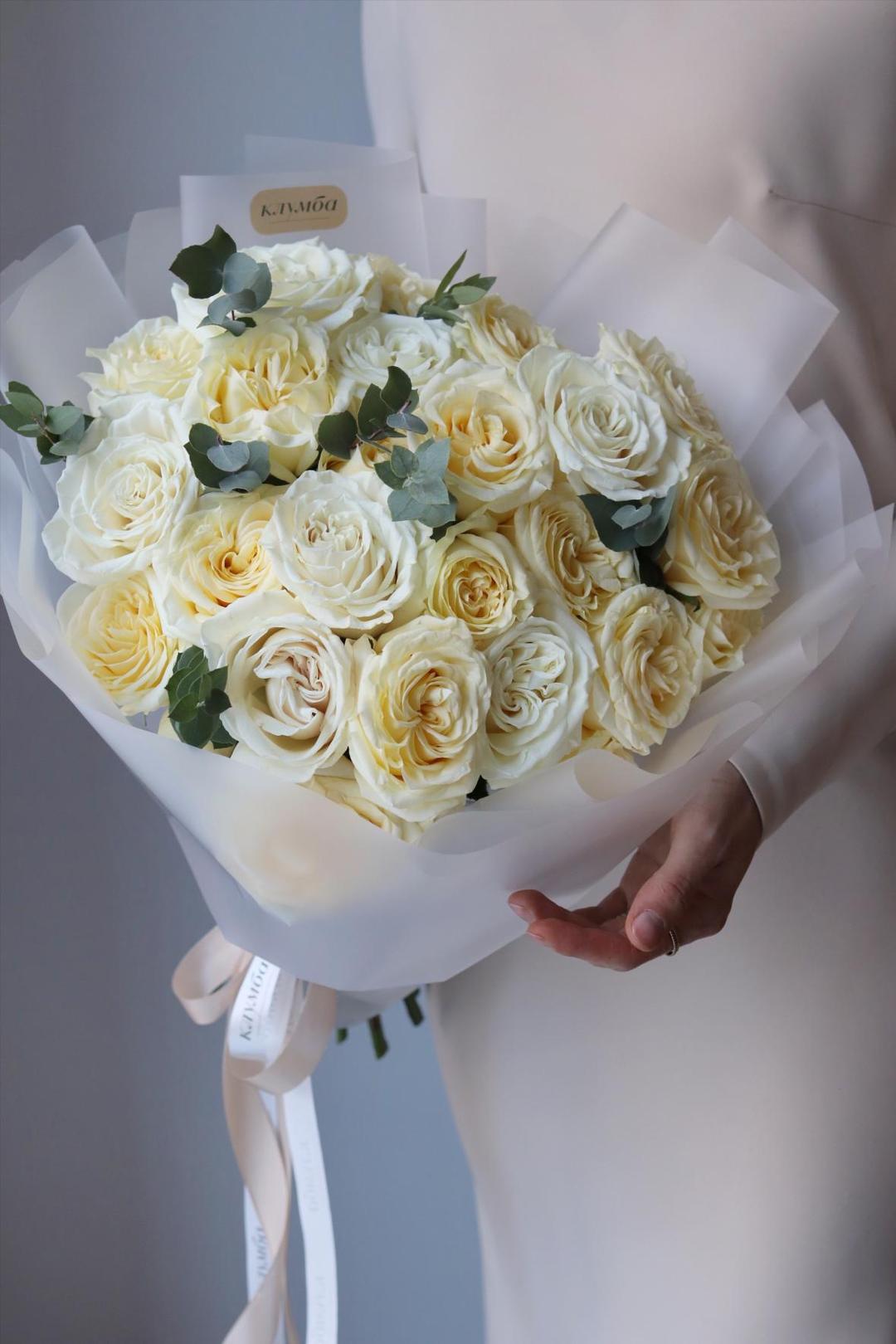 White Sonata [Вайт Соната]