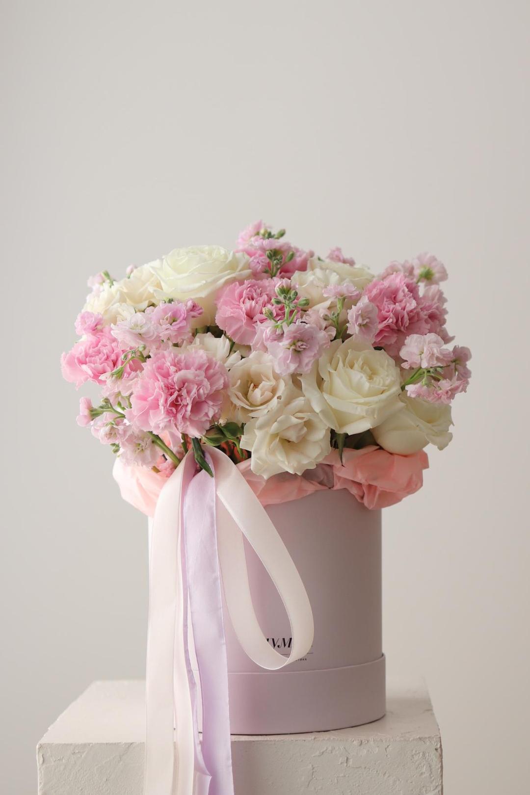 Haze Box [Хейз Бокс]