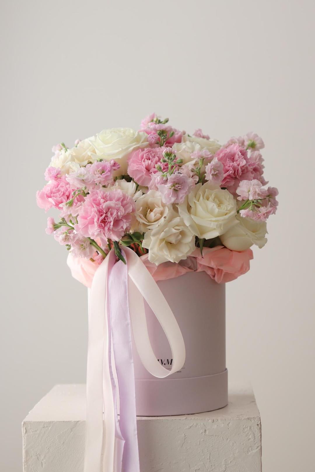 Haze Box [Хейз Бокс]