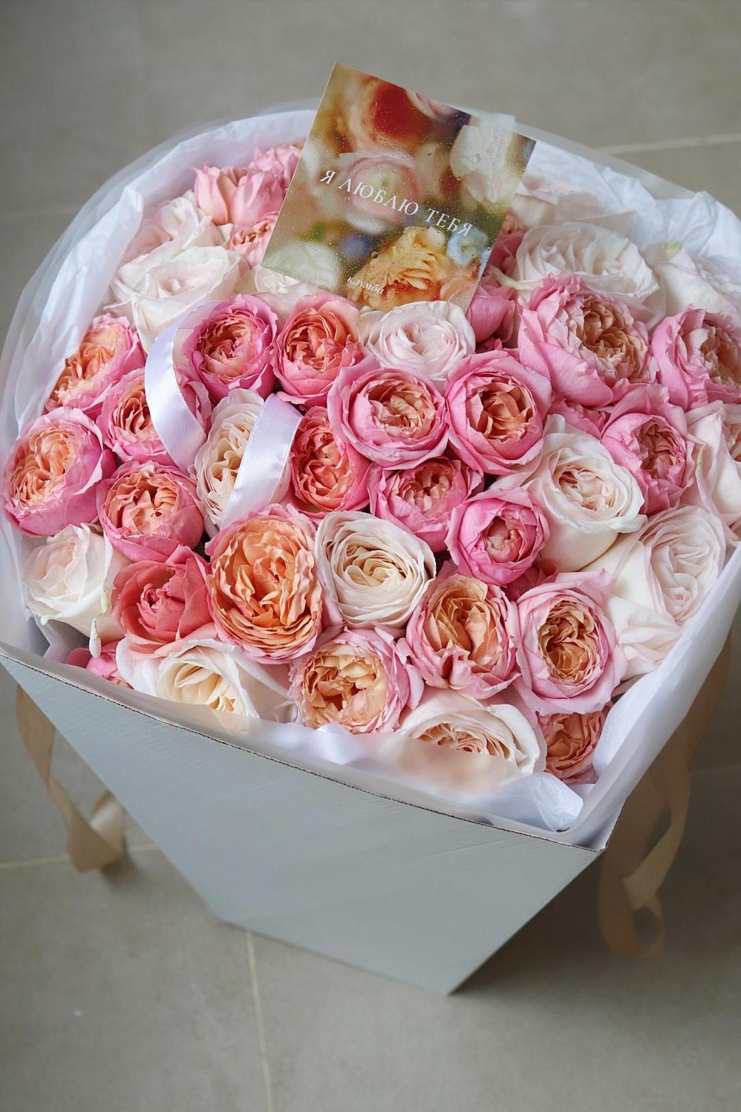 Вайт Охара и Джульетта